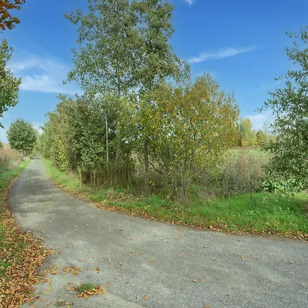 Spacious In With Garden Holiday home Silvolde