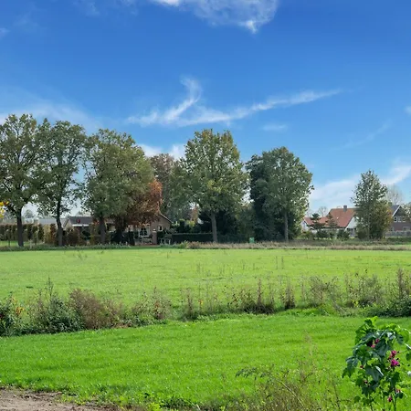 Spacious In With Garden *